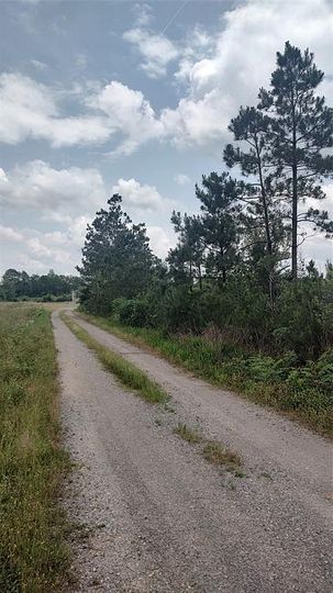 28 Acres of Recreational Land for Sale in Marshall, Texas