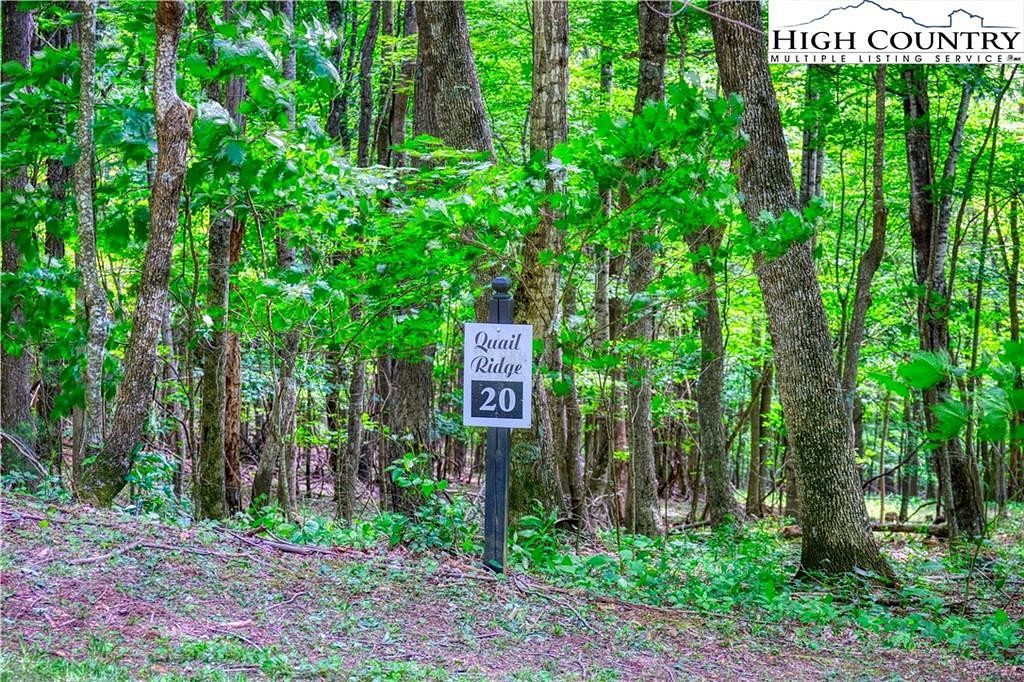 1.3 Acres of Residential Land for Sale in Fleetwood, North Carolina