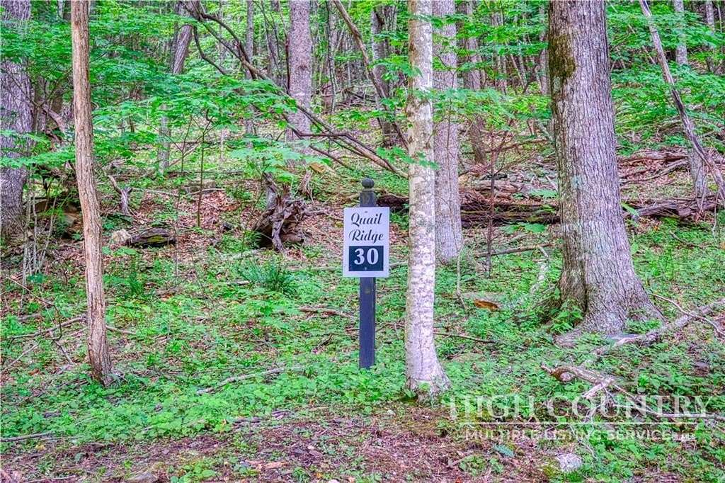 1.26 Acres of Residential Land for Sale in Fleetwood, North Carolina