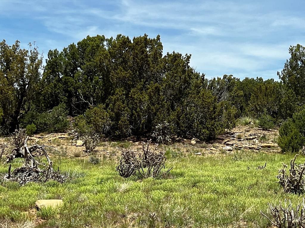 2.36 Acres of Residential Land for Sale in Walsenburg, Colorado