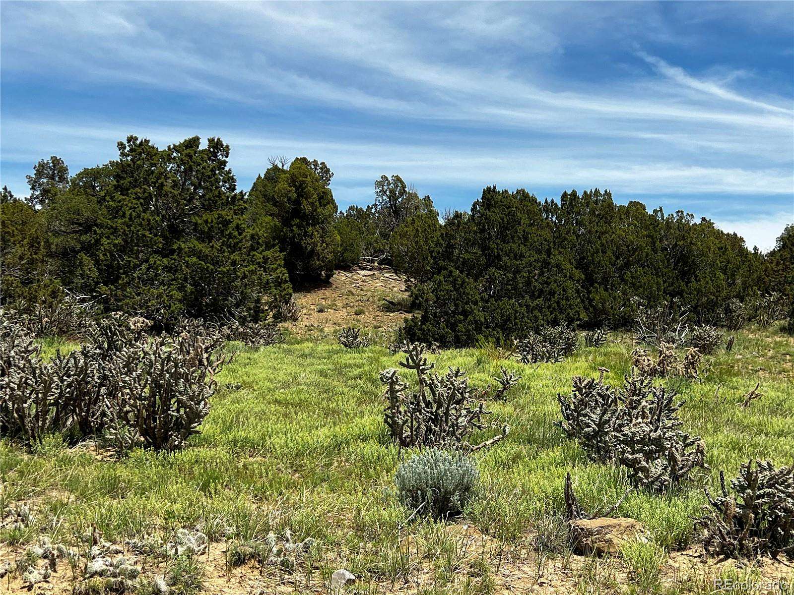 2.36 Acres of Residential Land for Sale in Walsenburg, Colorado