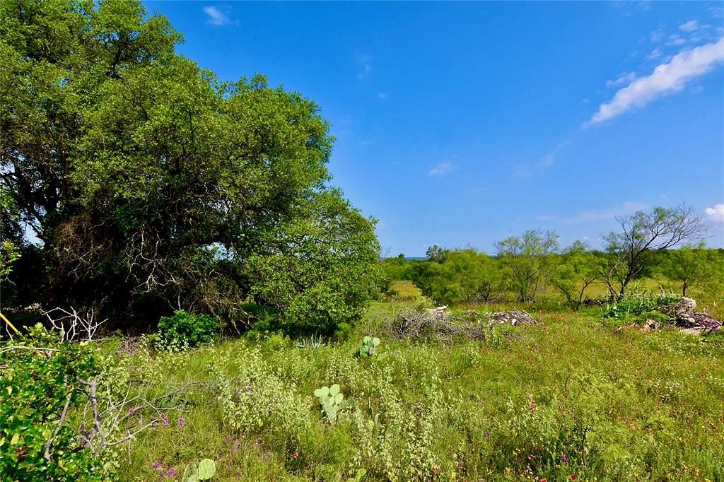 7 Acres of Residential Land for Sale in Early, Texas