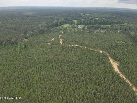 91.7 Acres of Recreational Land for Sale in Kosciusko, Mississippi