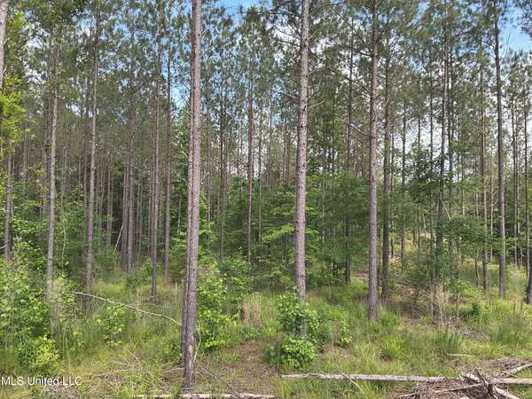 47.6 Acres of Recreational Land for Sale in Sallis, Mississippi
