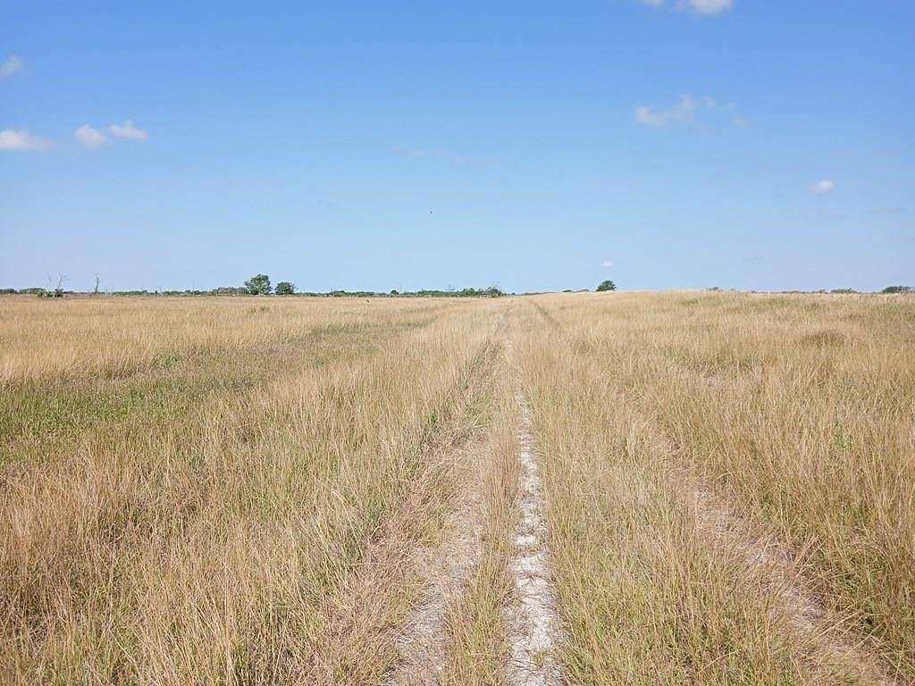 10 Acres of Land for Sale in Blessing, Texas
