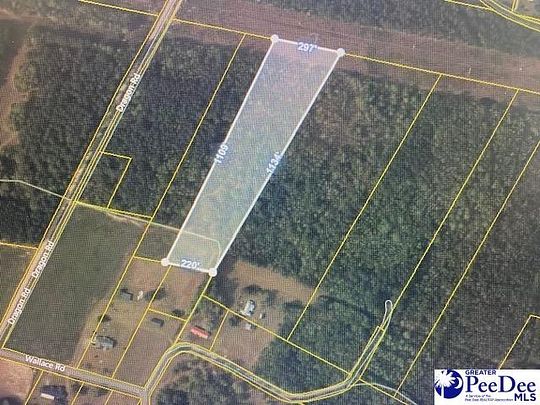 5.8 Acres of Land for Sale in Lane, South Carolina