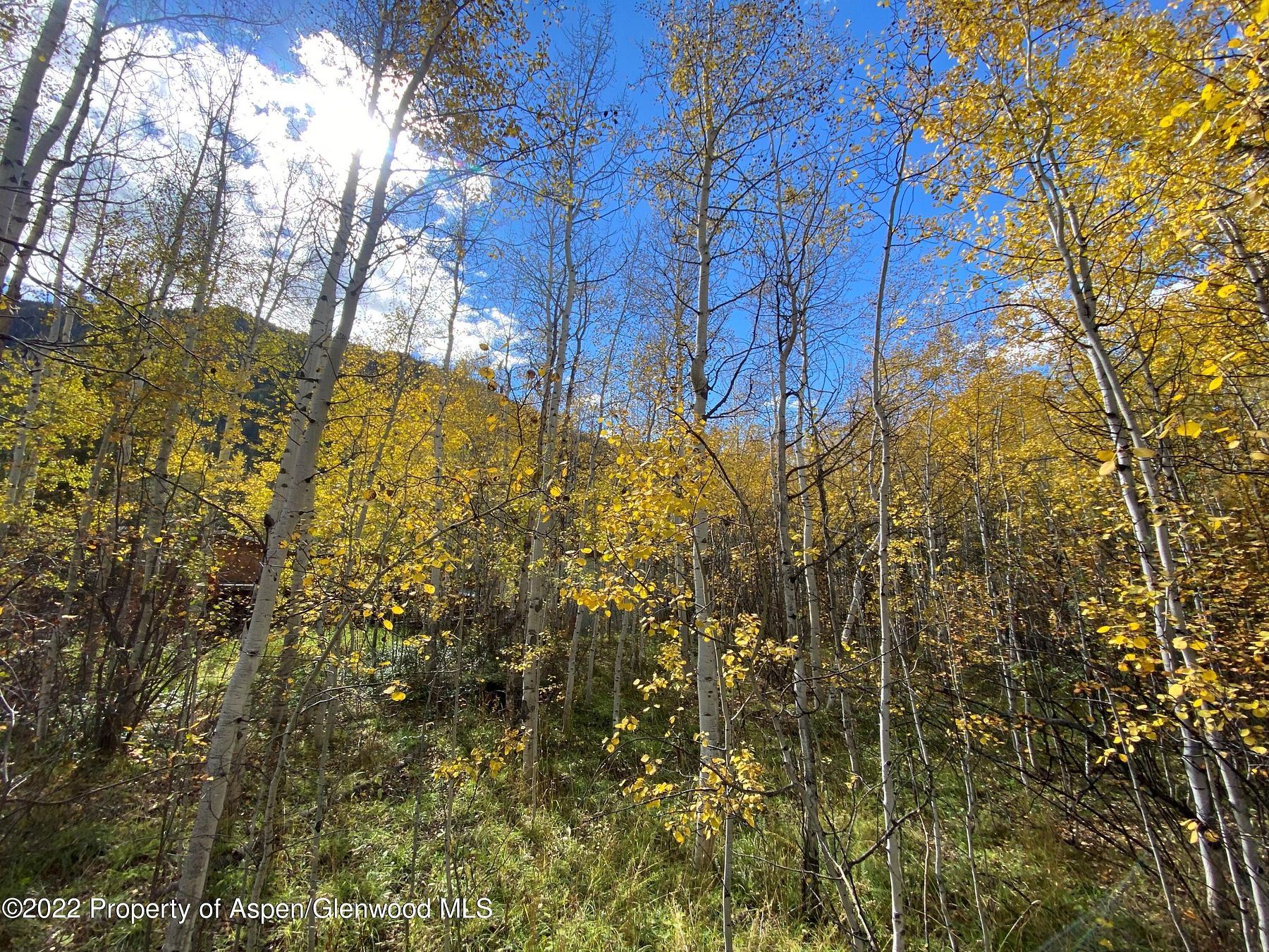 0.2 Acres of Residential Land for Sale in Aspen, Colorado