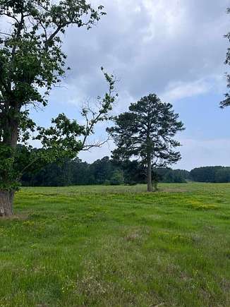 50 Acres of Agricultural Land for Sale in Nacogdoches, Texas