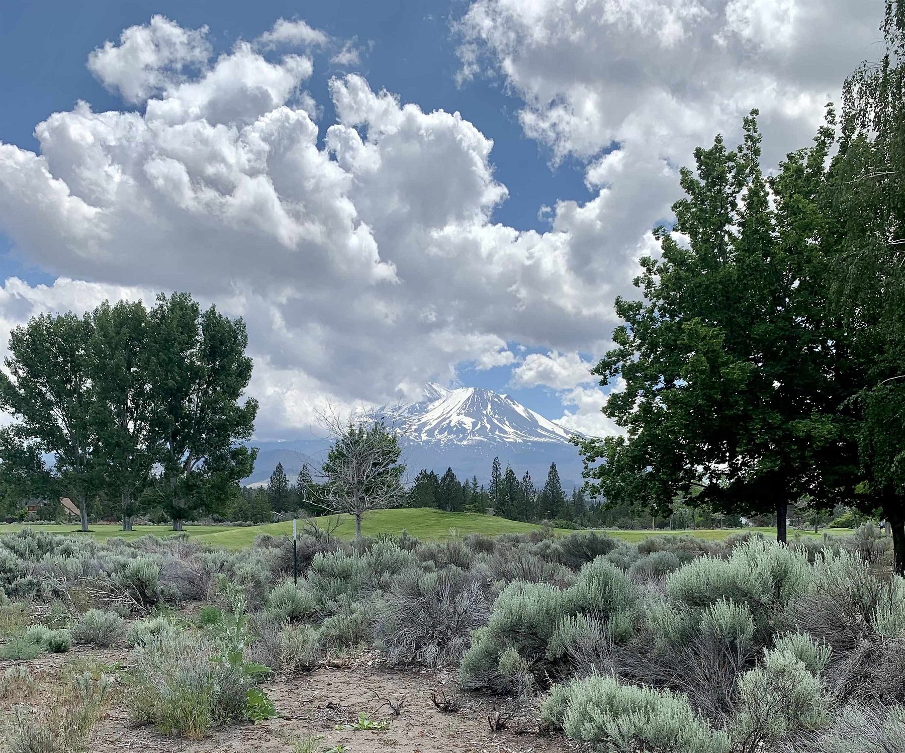 0.23 Acres of Residential Land for Sale in Weed, California