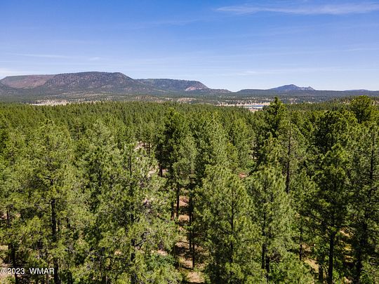 1.21 Acres of Residential Land for Sale in Alpine, Arizona