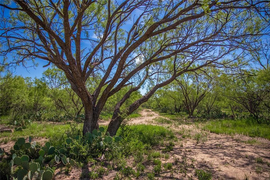 4,088 Acres of Agricultural Land for Sale in Lohn, Texas
