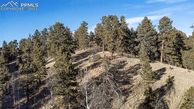 0.54 Acres of Residential Land for Sale in Florissant, Colorado