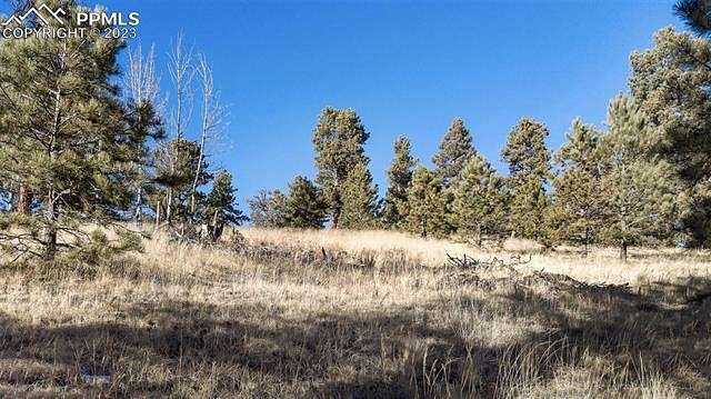 0.55 Acres of Residential Land for Sale in Florissant, Colorado