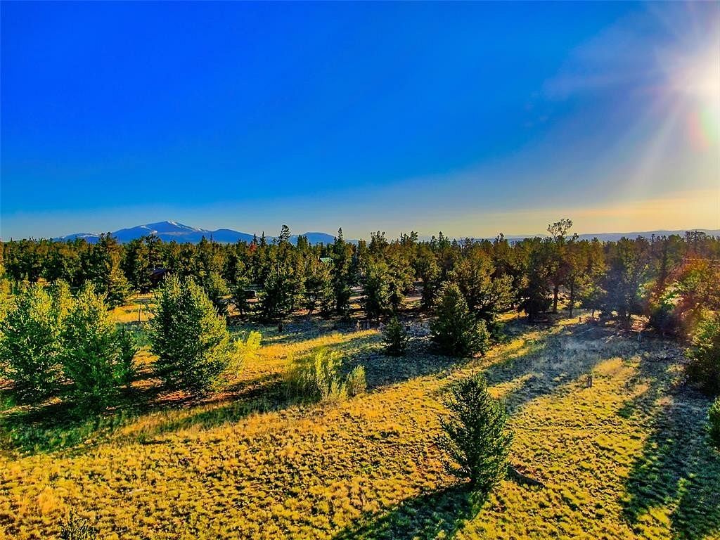 1 Acre of Residential Land for Sale in Fairplay, Colorado