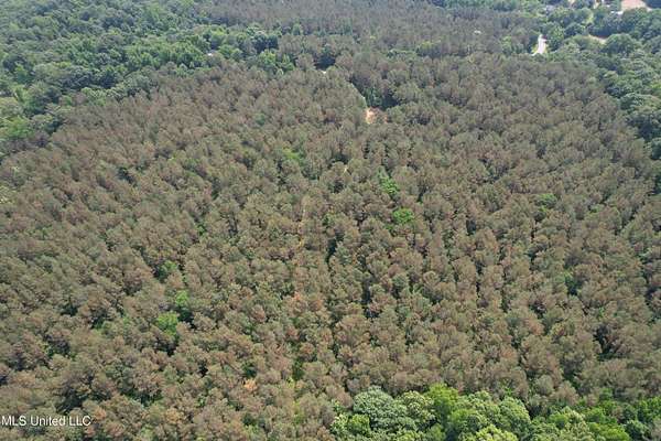 34.9 Acres of Recreational Land for Sale in Coffeeville, Mississippi