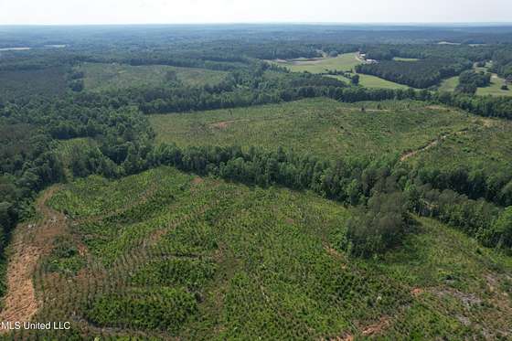 184 Acres of Recreational Land for Sale in Water Valley, Mississippi