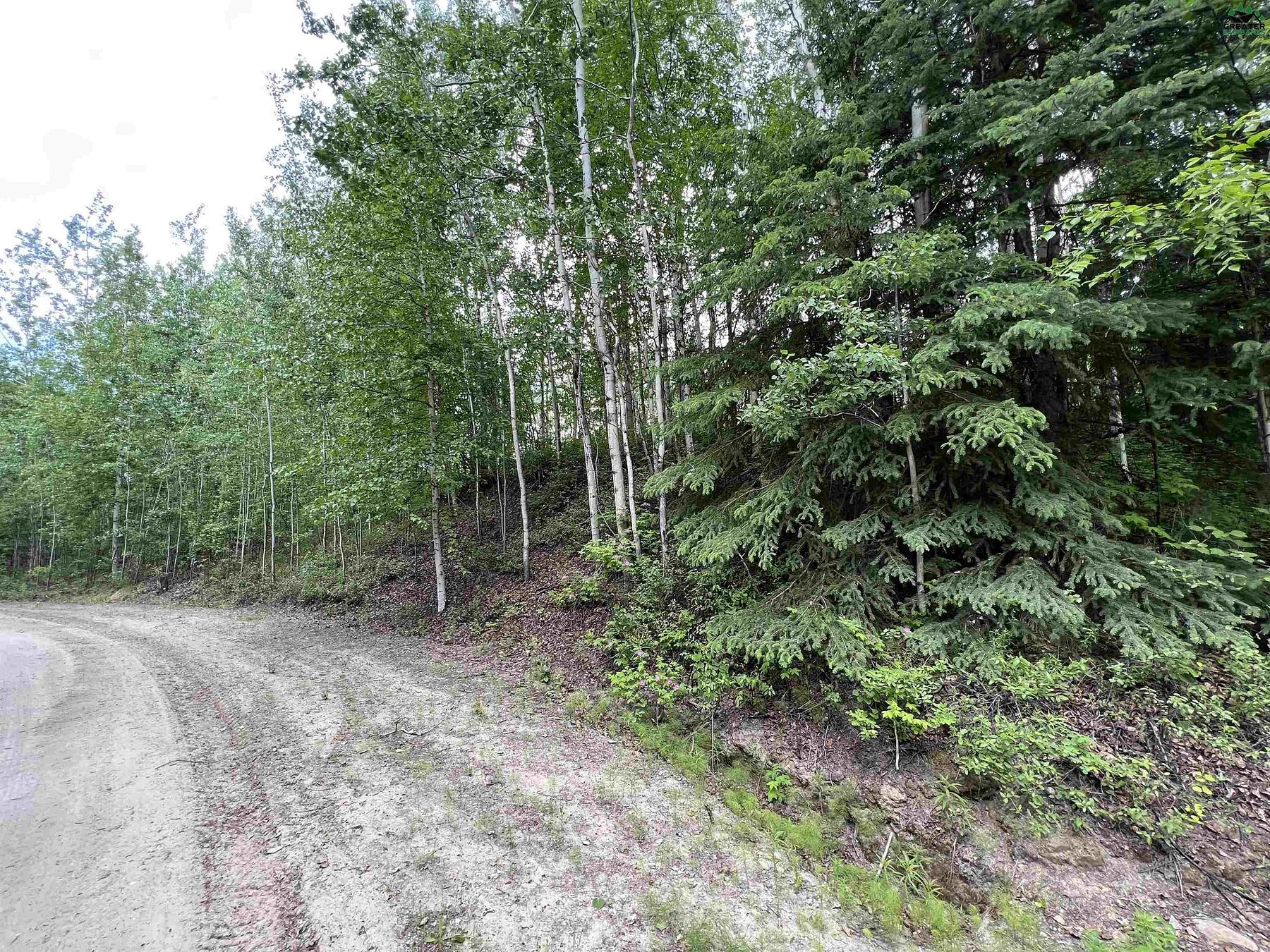 1.3 Acres of Residential Land for Sale in Fairbanks, Alaska