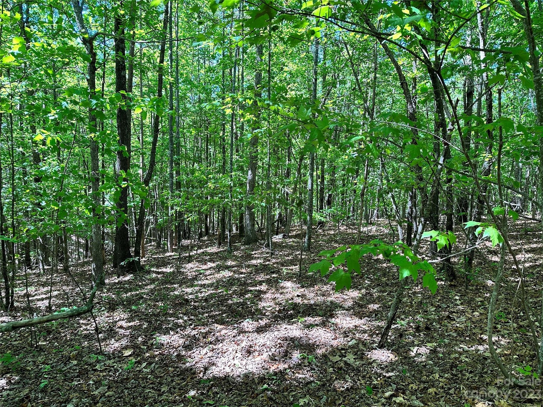1.1 Acres of Residential Land for Sale in Bostic, North Carolina