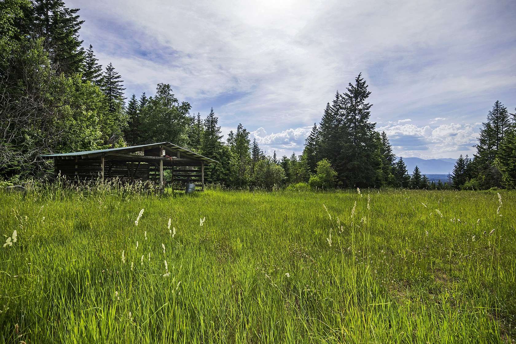 16 Acres of Recreational Land & Farm for Sale in Bonners Ferry, Idaho