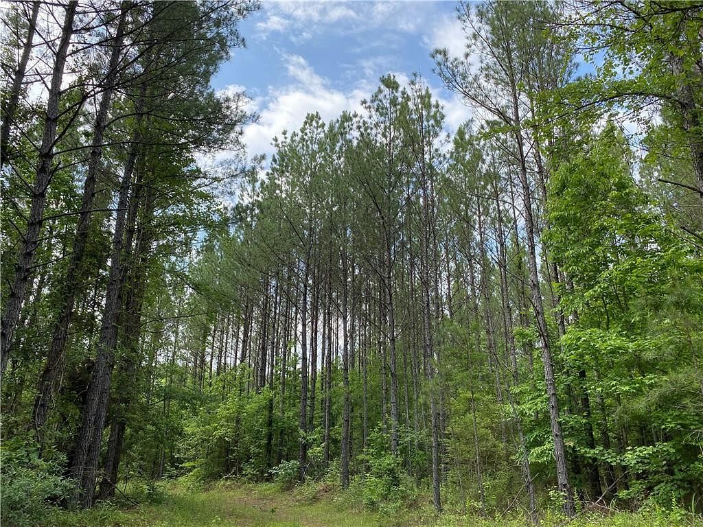 72 Acres of Land for Sale in Dadeville, Alabama