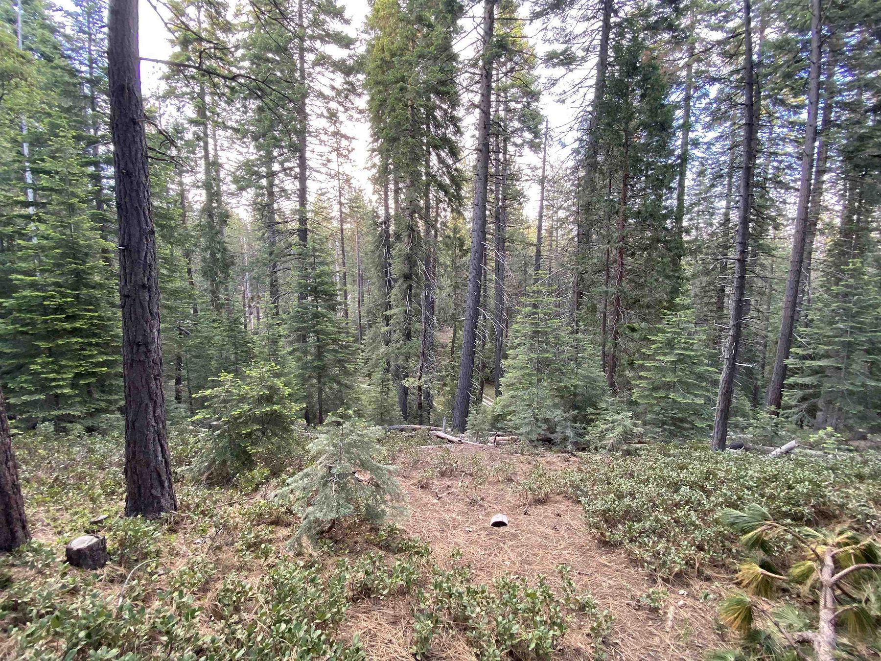 2.7 Acres of Land for Sale in McCloud, California