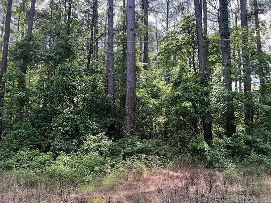 9.8 Acres of Land for Sale in Pine Bluff, Arkansas