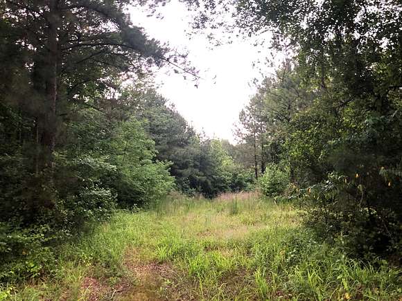 90 Acres of Land for Sale in Millerton, Louisiana