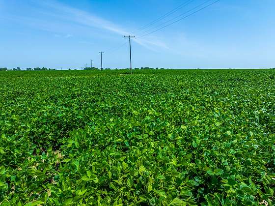 331 Acres of Recreational Land & Farm for Sale in Deport, Texas