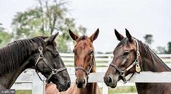 4 Acres of Commercial Land for Sale in Hanover, Pennsylvania