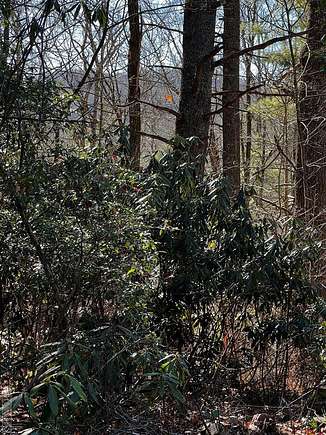3.6 Acres of Residential Land for Sale in Cashiers, North Carolina