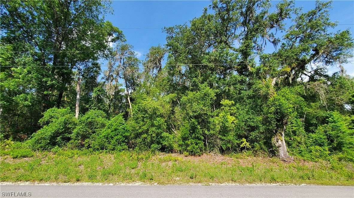 0.46 Acres of Land for Sale in Webster, Florida