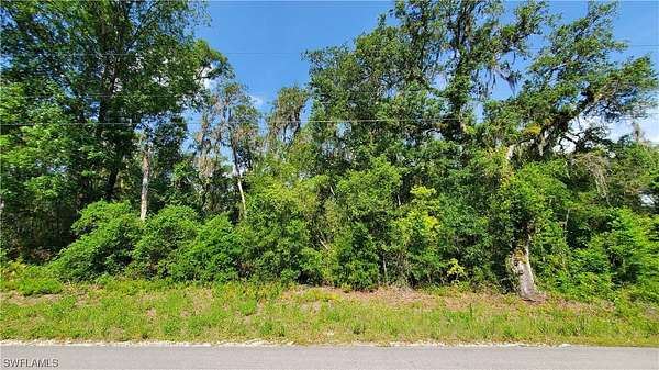 0.46 Acres of Land for Sale in Webster, Florida
