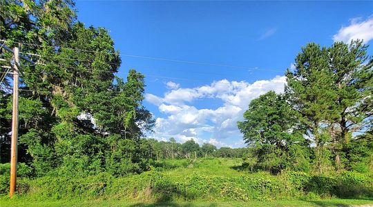 32.6 Acres of Agricultural Land for Sale in Reddick, Florida