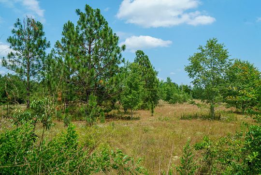 19 Acres of Land for Sale in Wagener, South Carolina