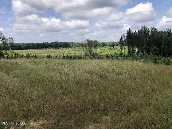 140 Acres of Recreational Land for Sale in Vaiden, Mississippi