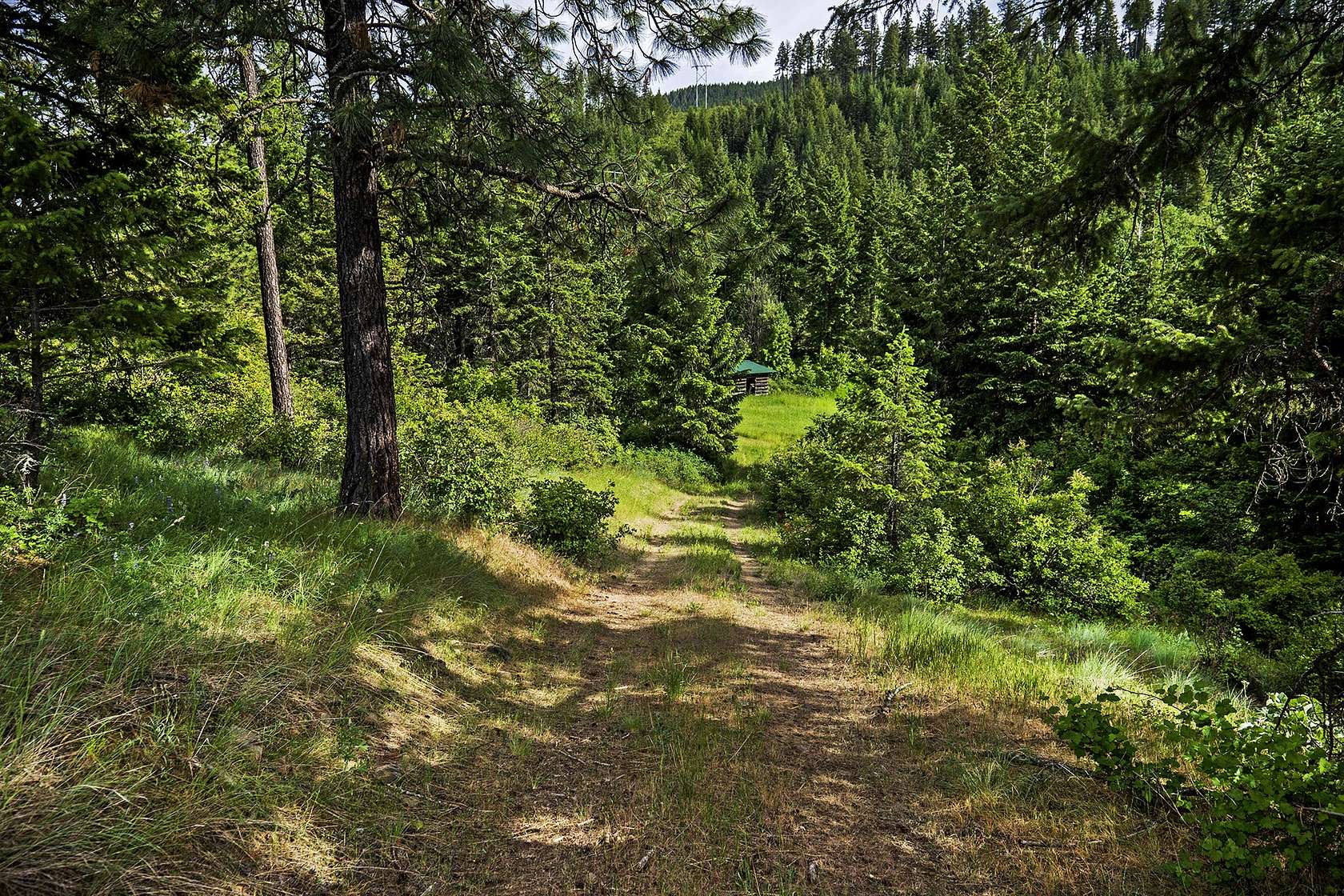 9.8 Acres of Recreational Land & Farm for Sale in Bonners Ferry, Idaho