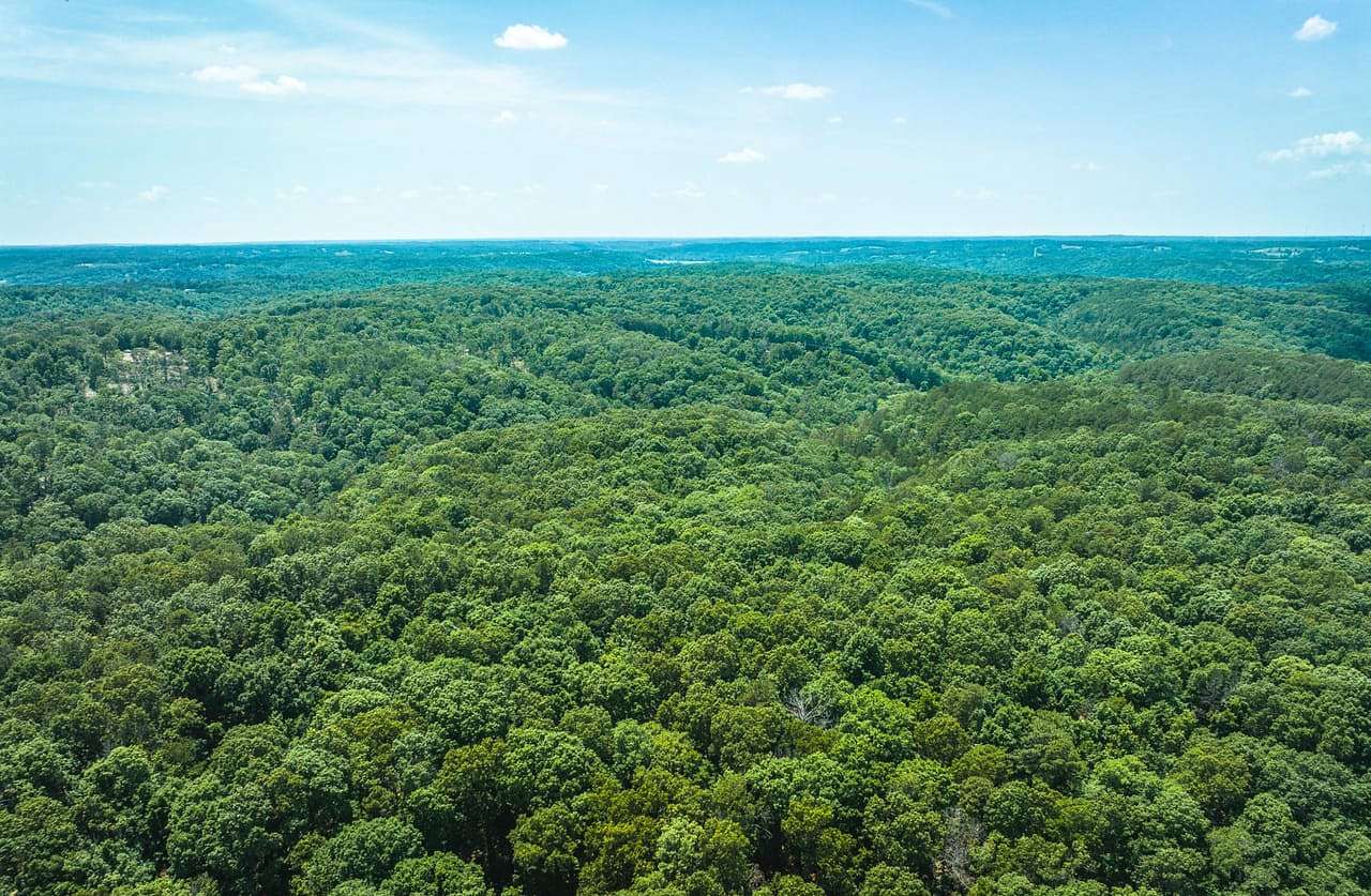25 Acres of Recreational Land for Sale in Pineville, Missouri