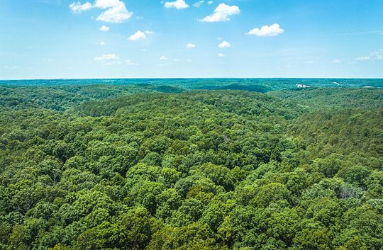 25 Acres of Recreational Land for Sale in Pineville, Missouri