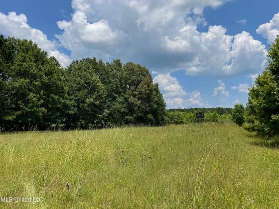 60 Acres of Agricultural Land for Sale in Canton, Mississippi