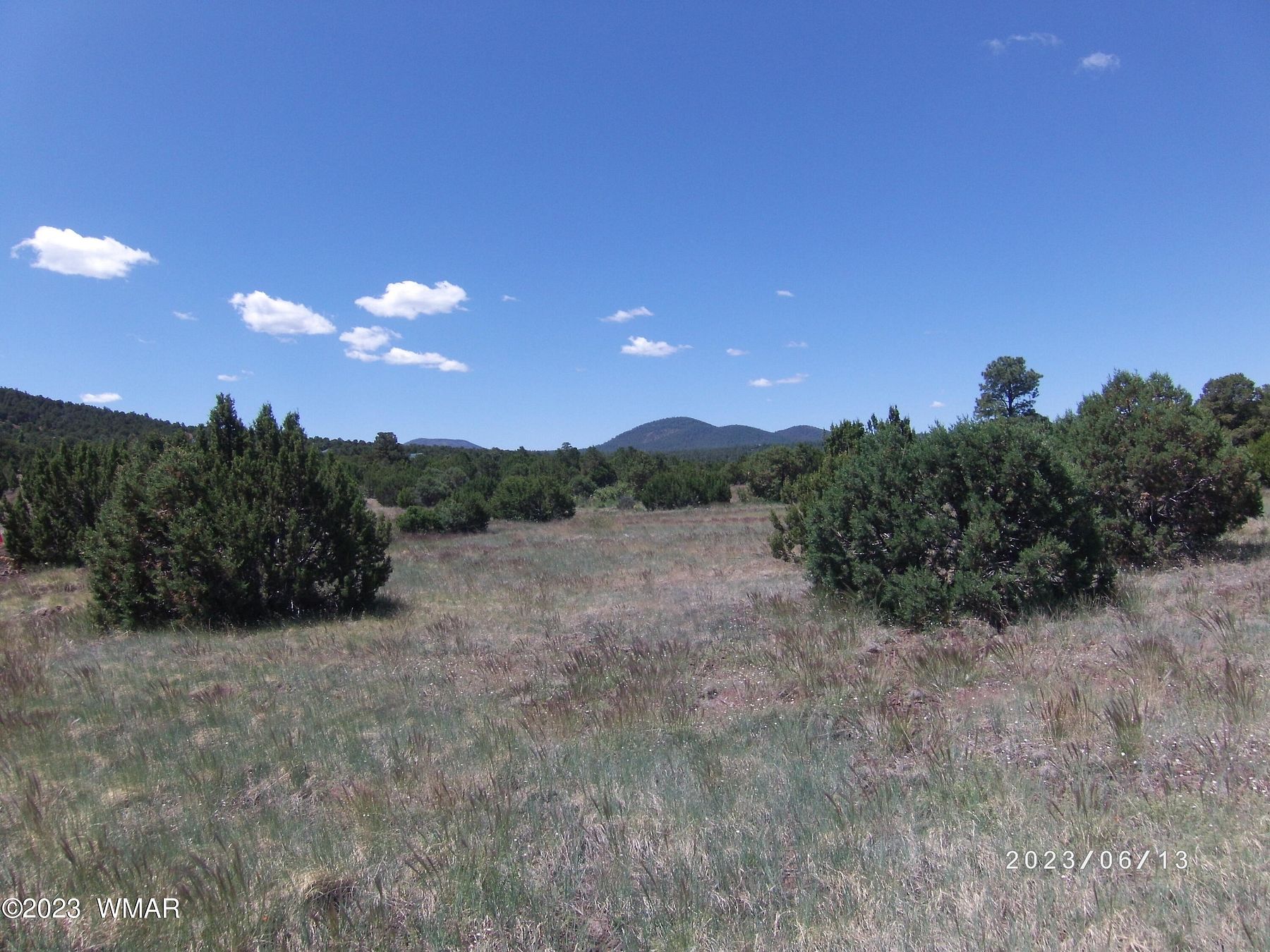 17 Acres of Land for Sale in Vernon, Arizona