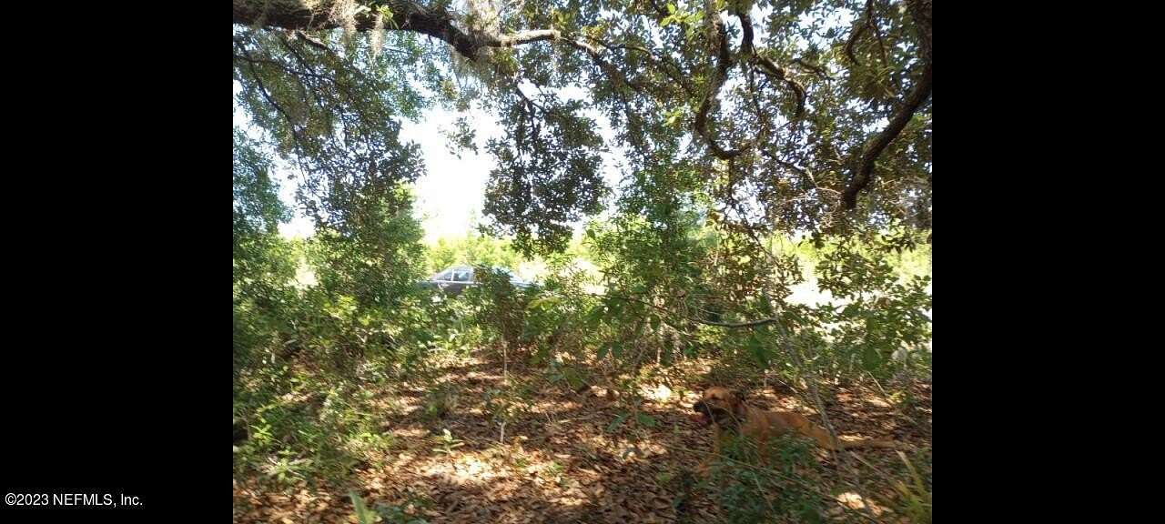 0.49 Acres of Land for Sale in Satsuma, Florida