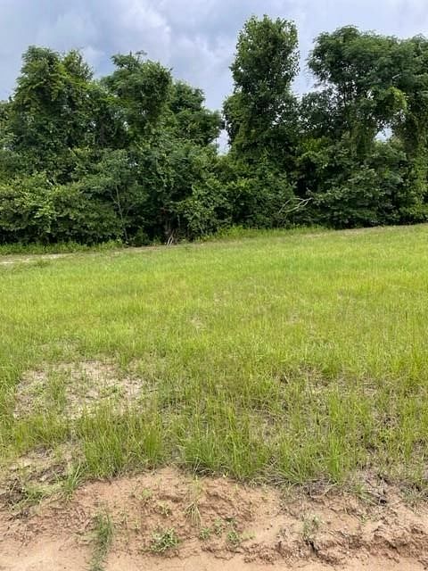 Land for Sale in Beaumont, Mississippi