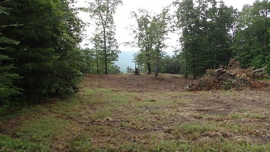 9.1 Acres of Residential Land for Sale in Wilder, Tennessee