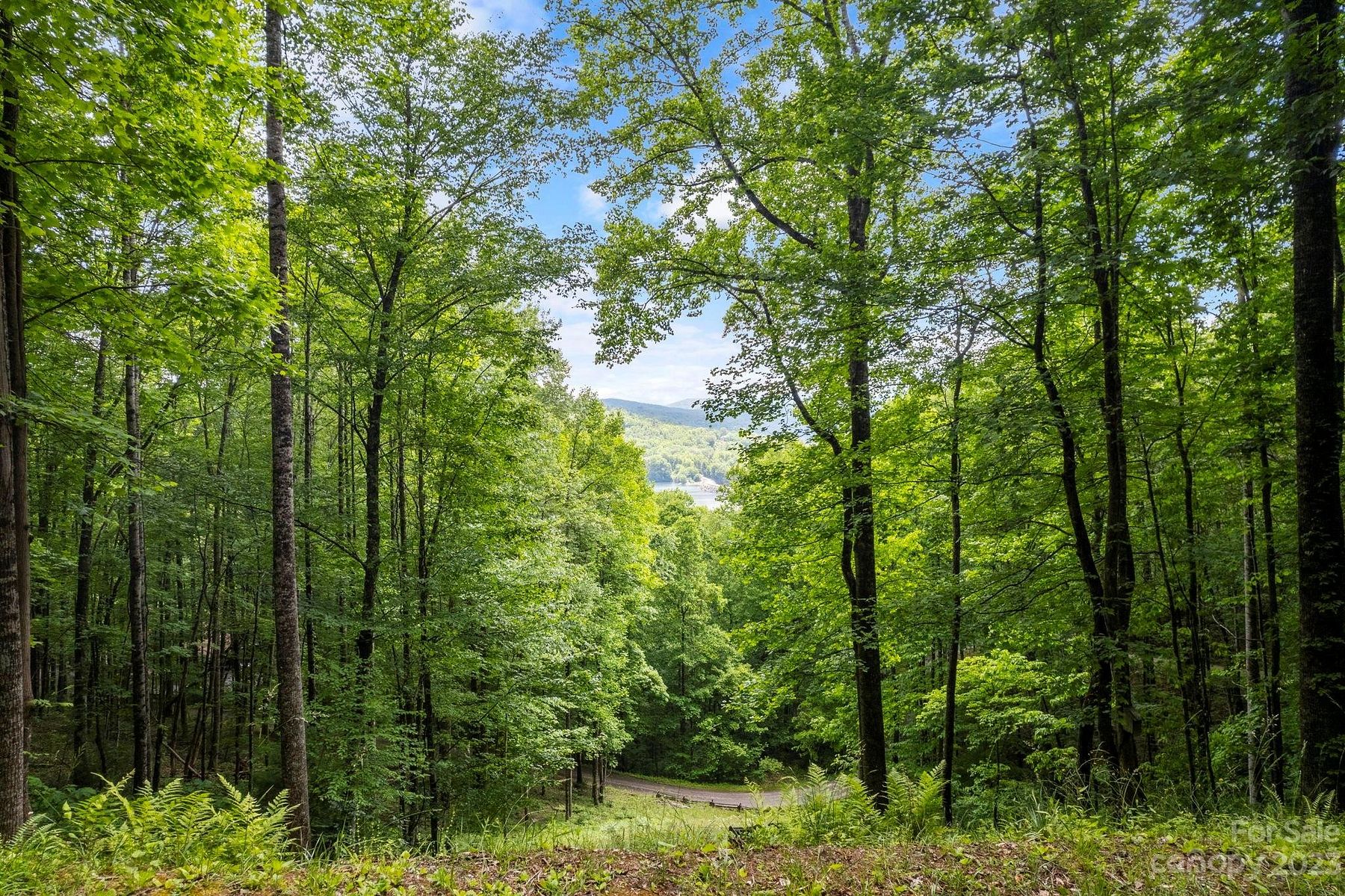 1.8 Acres of Land for Sale in Tuckasegee, North Carolina