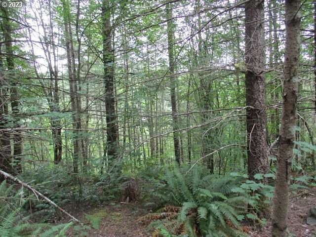 80 Acres of Land for Sale in Estacada, Oregon