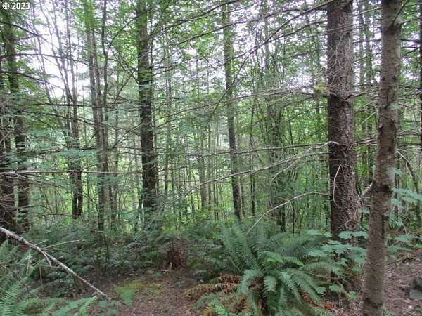 80 Acres of Land for Sale in Estacada, Oregon
