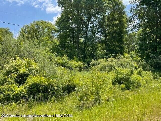 2.7 Acres of Land for Sale in Laingsburg, Michigan
