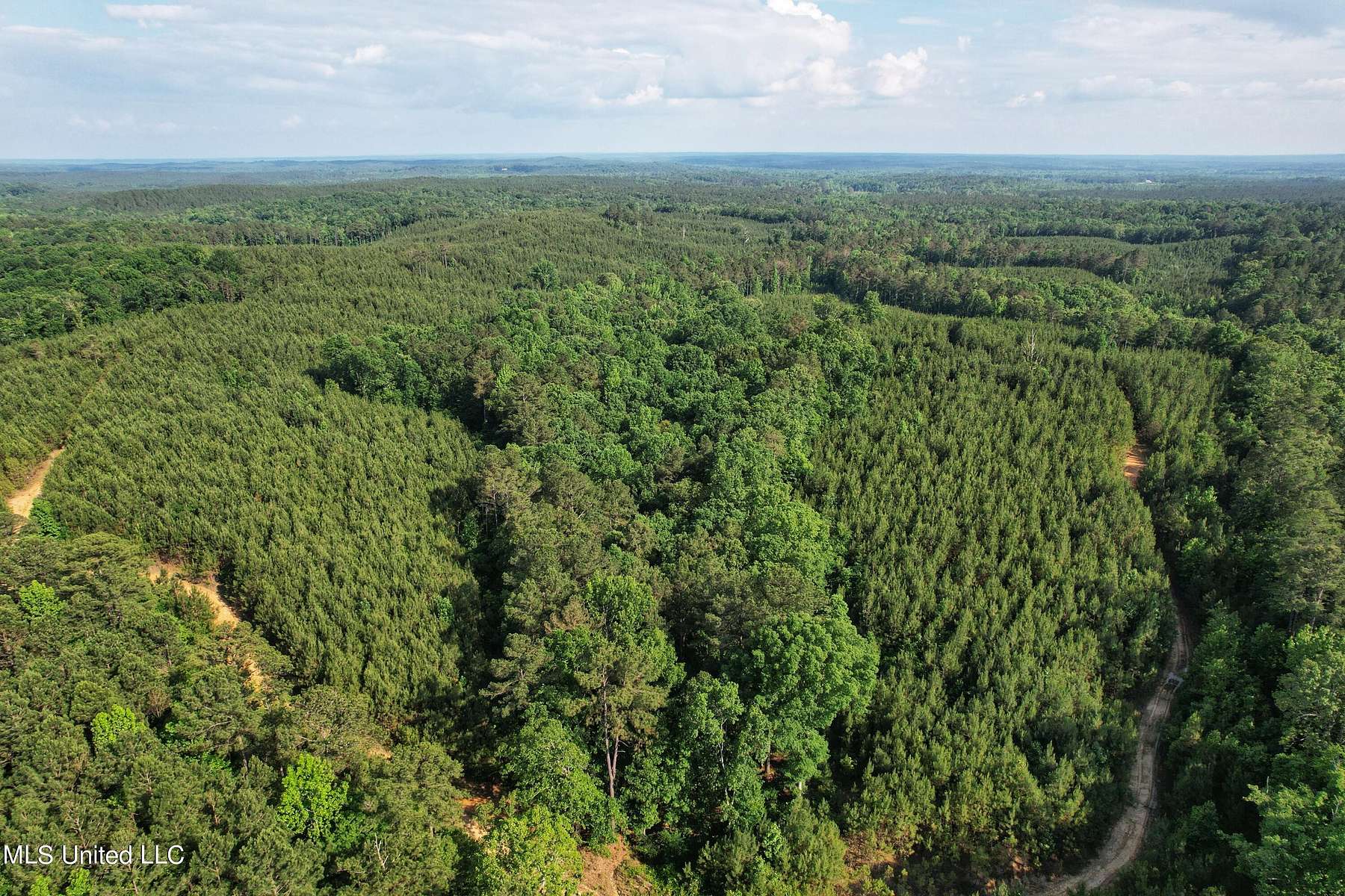 174 Acres of Recreational Land for Sale in Vaiden, Mississippi