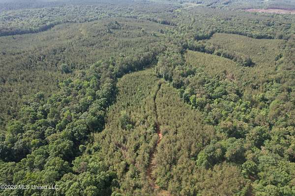 174 Acres of Recreational Land for Sale in Vaiden, Mississippi