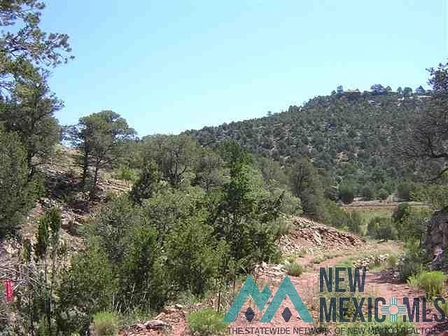 340 Acres of Land for Sale in Los Montoyas, New Mexico